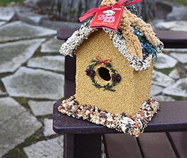 FOR THE BIRDS